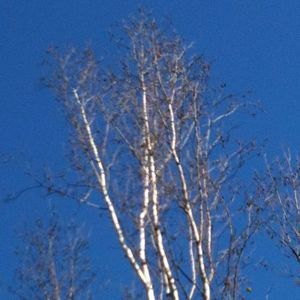 Meet your Posher, Gail